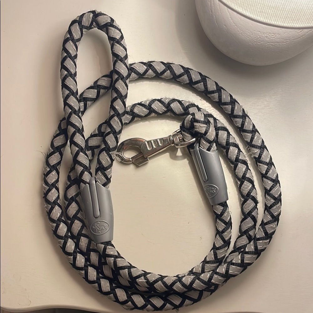 FOUR PAWS Braided Reflective Dog Leash